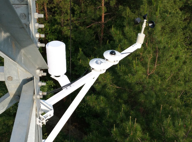 ɭ�����Bϵ�y�O�y